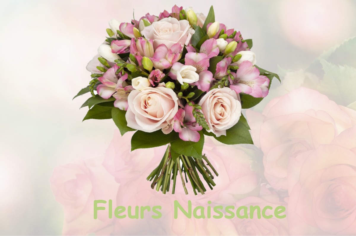 fleurs naissance PEYRET-SAINT-ANDRE