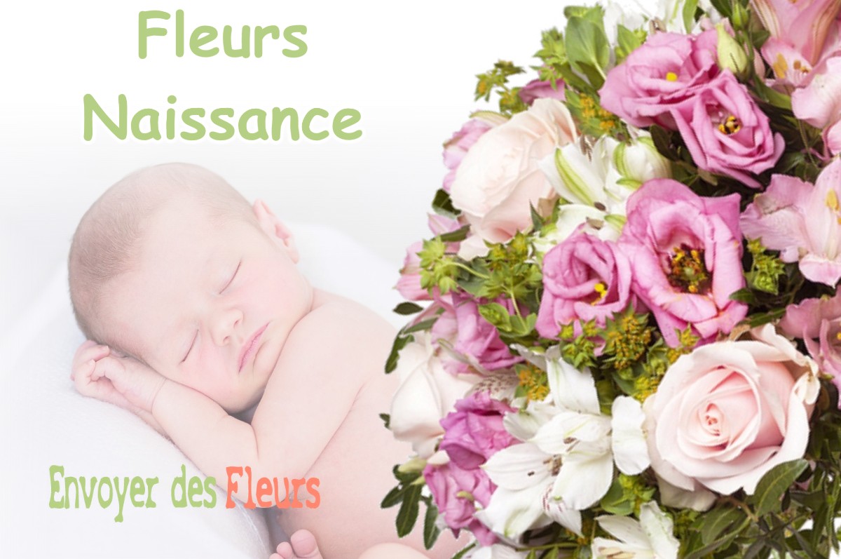 lIVRAISON FLEURS NAISSANCE à PEYRET-SAINT-ANDRE